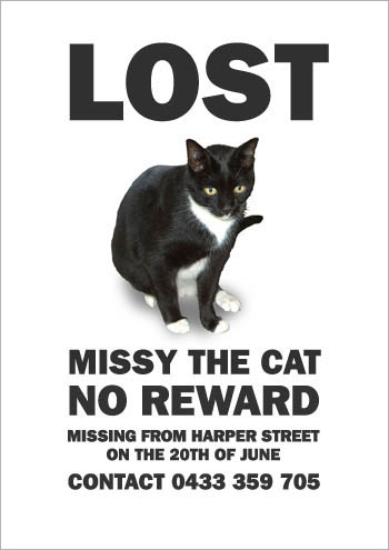 missing_missy5