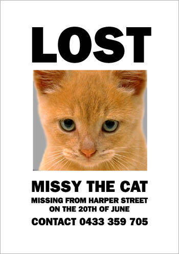 missing_missy6